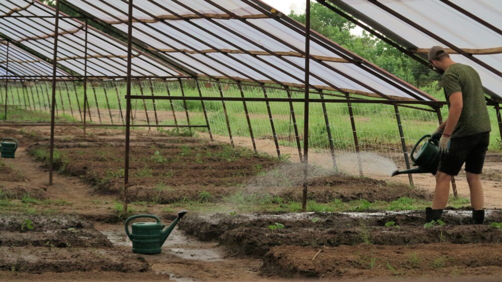 Gambia, Berufsperspektiven für Rückkehrer*innen