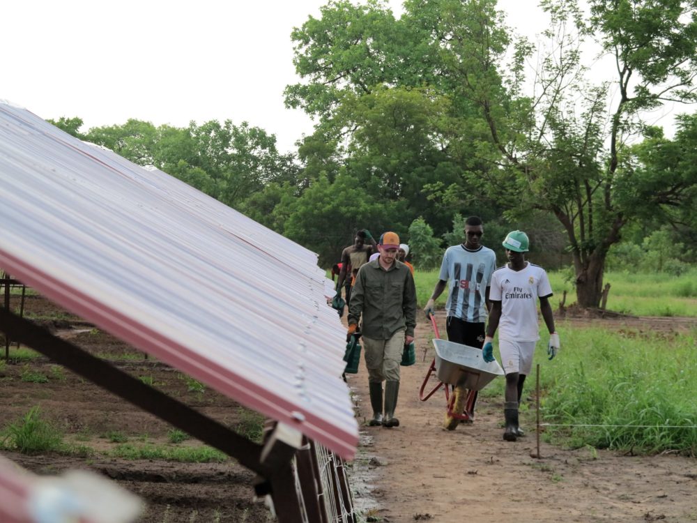 Gambia, Berufsperspektiven für Rückkehrer*innen