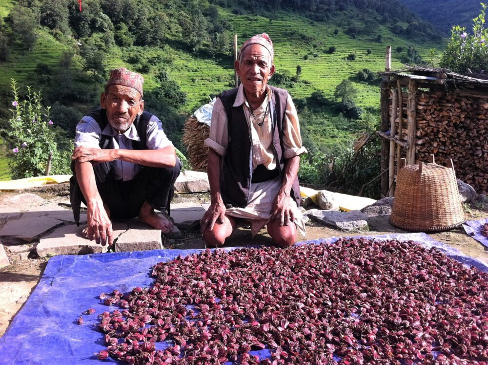 Nepal, In Gewürzen steckt Zukunft