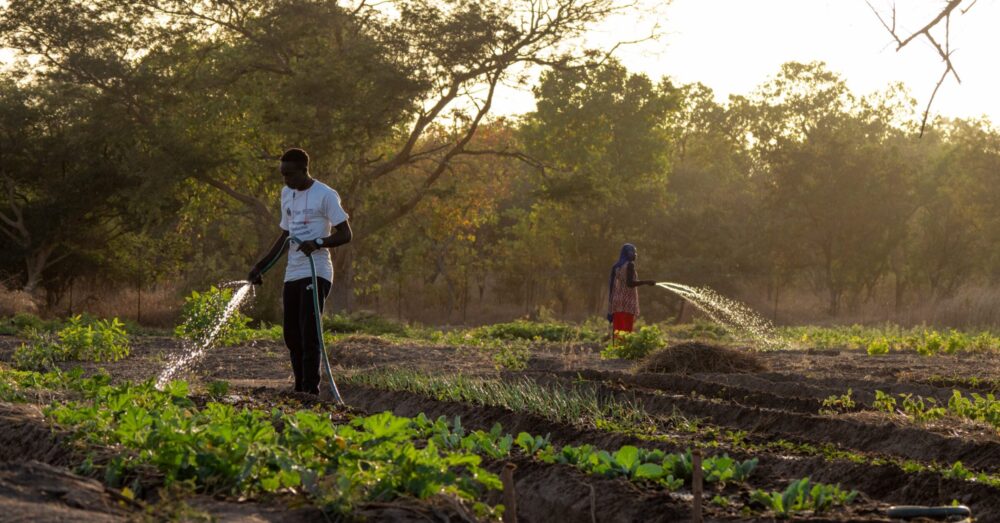 Gambia, Berufsperspektiven für Rückkehrer*innen