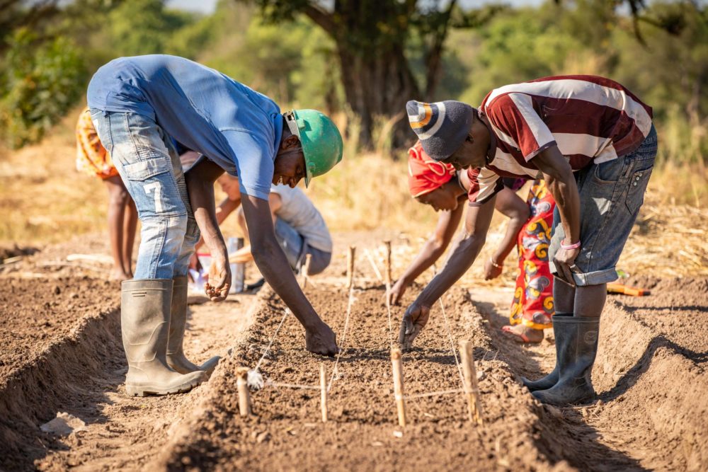 Gambia, Berufsperspektiven für Rückkehrer*innen; © Sarah Keßler