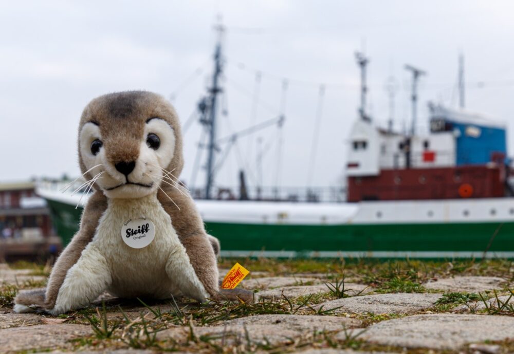 Besuch im Mädchenhaus